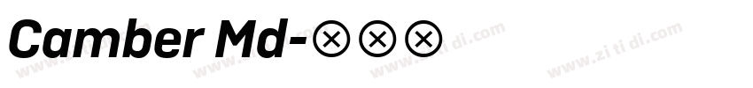 Camber Md字体转换